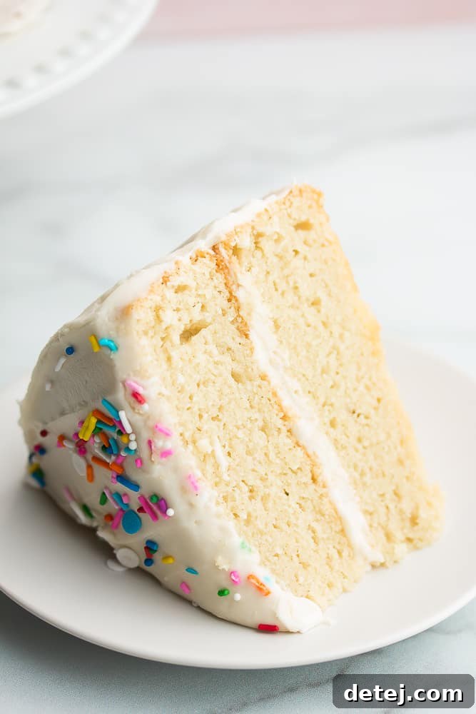 Close up of a slice of white cake with colorful sprinkles on top, resting on a clean white plate.