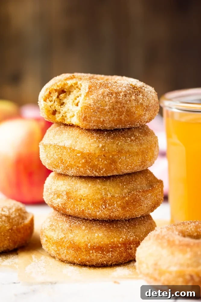 stack of donuts, one with a bite taken out