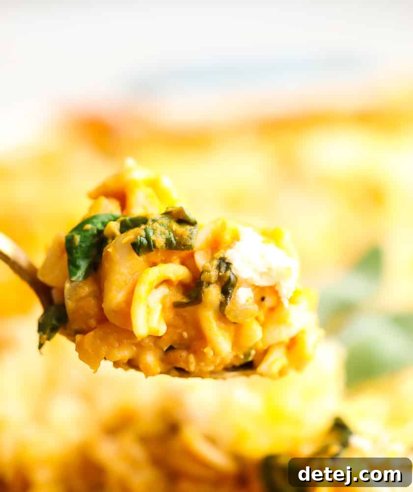 A spoonful of vegan pumpkin pasta bake being scooped from a casserole dish, showing the creamy texture and chunks of ricotta.