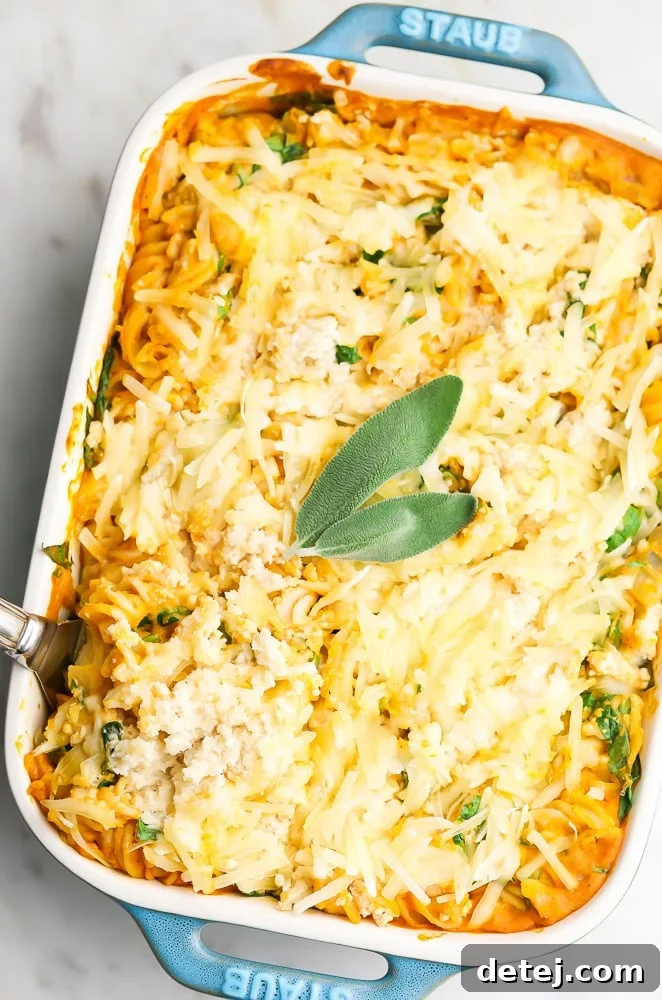 The entire baked vegan pumpkin pasta casserole, uncut, presented beautifully in a dish.