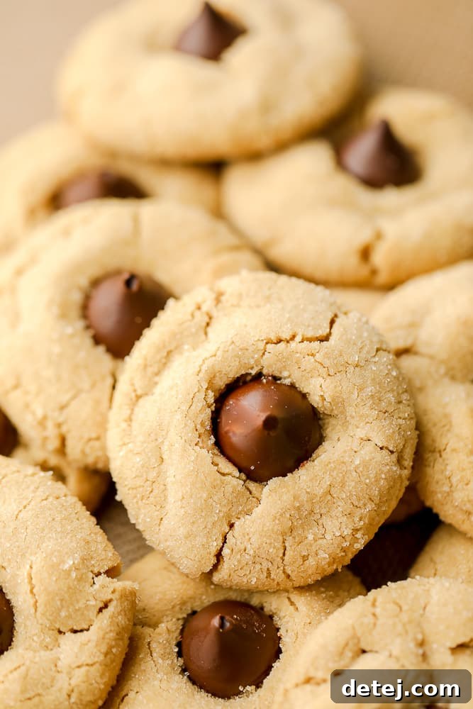 A close-up shot of a single vegan peanut butter blossom cookie, showing the soft texture and the perfectly placed chocolate kiss in its center.