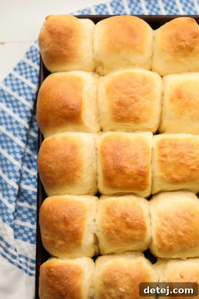 looking down on a pan of many rolls