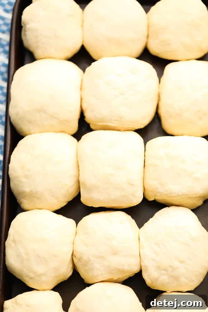 pan full of dinner roll dough in balls