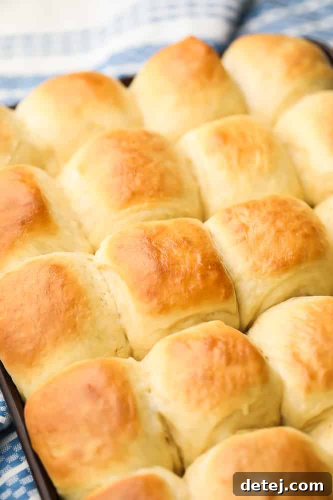 pan full of cooked vegan dinner rolls, blue towel background