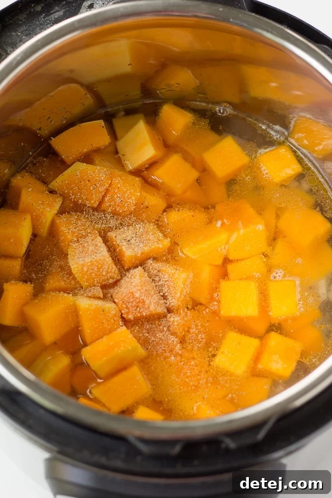 Butternut squash cubes and vegetable broth inside an Instant Pot, ready for pressure cooking.