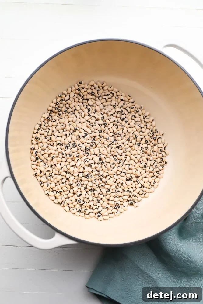 Dry black eyed peas ready to be soaked in a large metal pot.