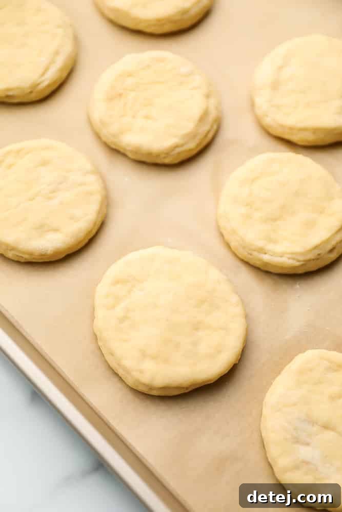 Freshly prepared vegan donut dough, perfectly rounded and ready for its quick rise, sits gently on a baking sheet, promising delightful treats.