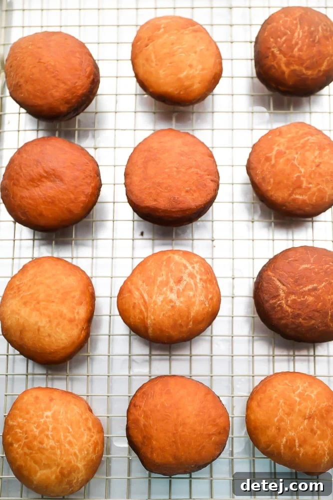 A wire rack holds a batch of perfectly cooked, golden-brown vegan jelly donuts, glistening slightly and ready for the next delightful step of filling and finishing.