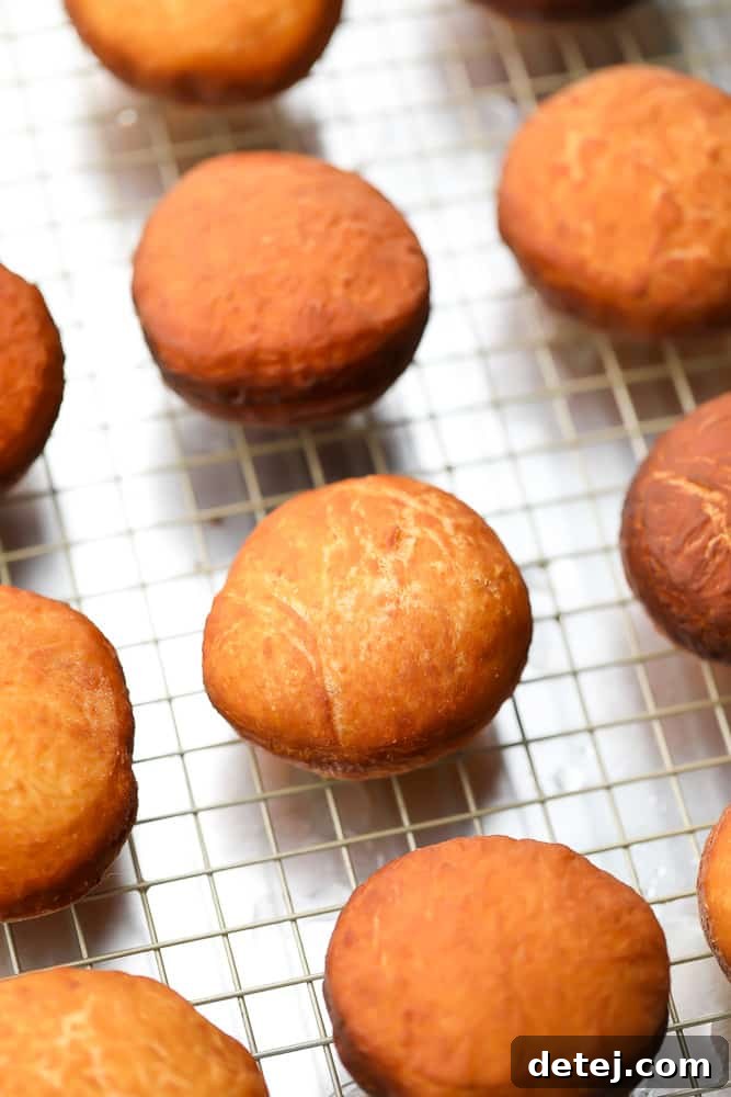 A collection of freshly fried, round vegan donuts, golden brown and ready for filling and glazing.