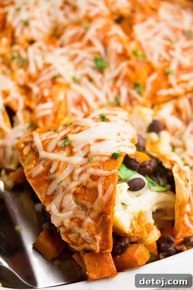 enchilada casserole in a white dish, close up