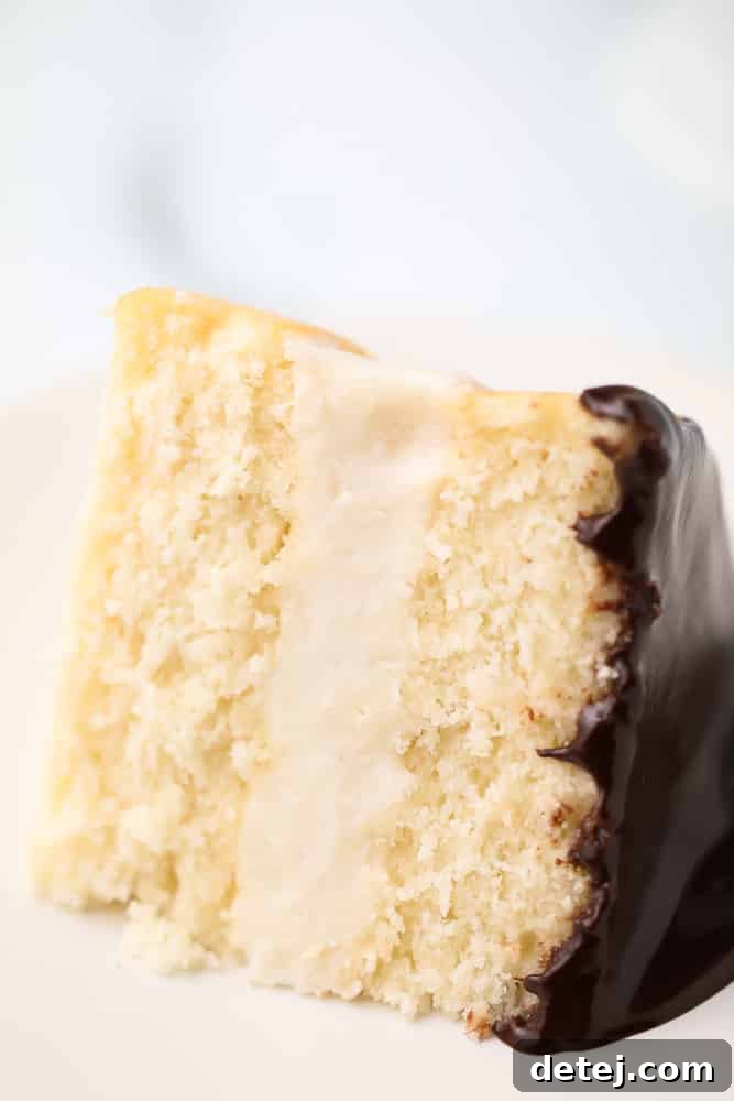 A delectable slice of Vegan Boston Cream Pie served on a pristine white plate, showcasing the thick custard layer and glossy chocolate ganache.