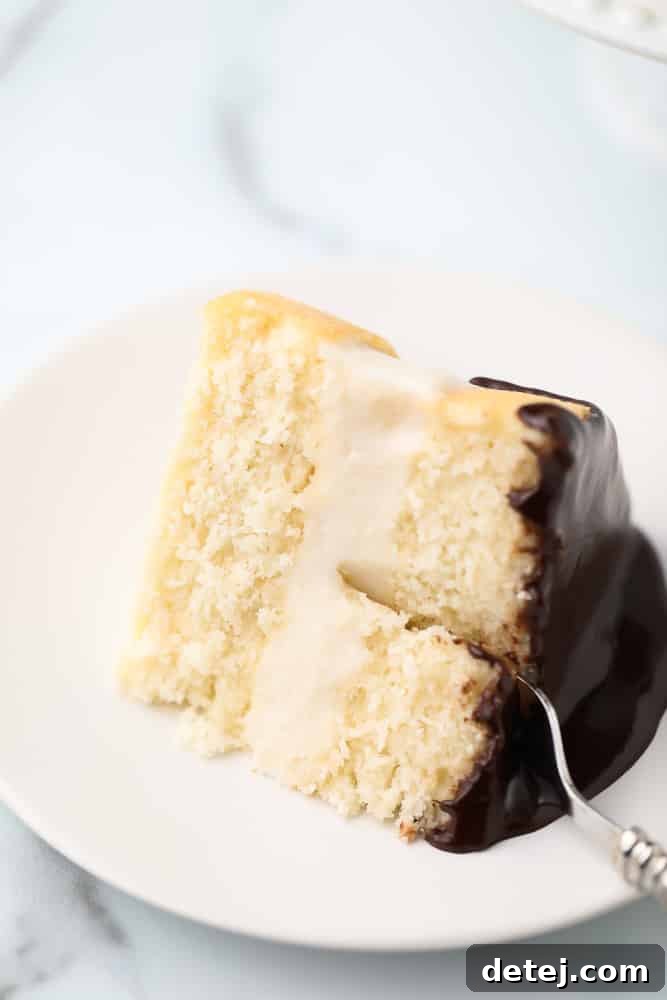 A hand reaching in to take a delightful bite out of a perfectly portioned slice of Vegan Boston Cream Pie, showing its irresistible layers.