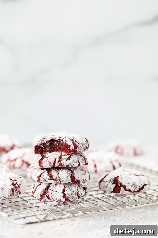 Decadent Red Velvet Crinkle Delights 2 A perfectly baked red velvet crinkle cookie, showcasing its vibrant red interior and powdered sugar coating.