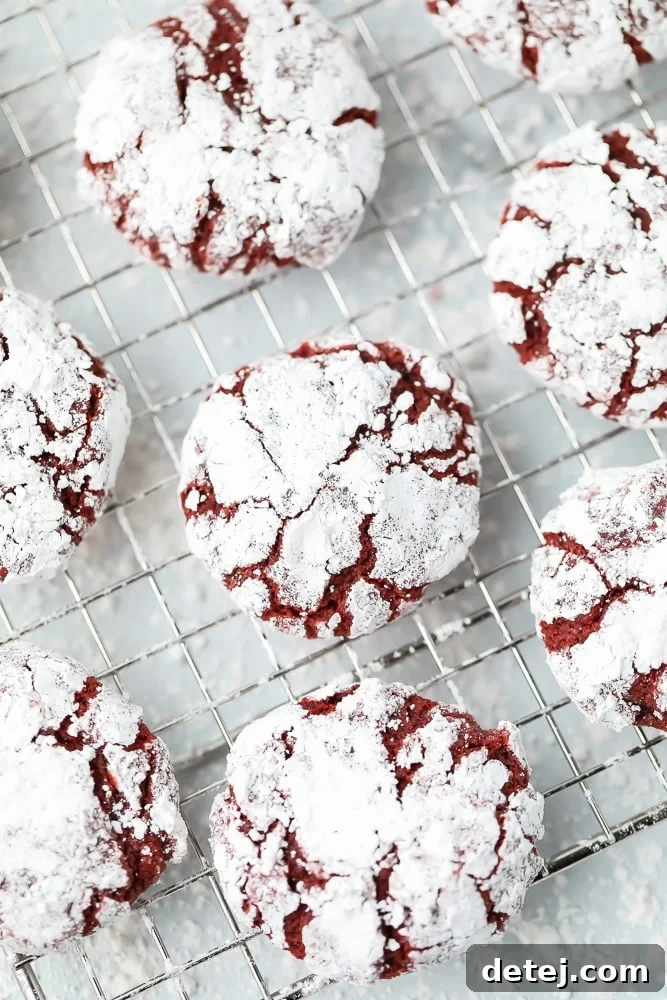 Decadent Red Velvet Crinkle Delights 3 Close-up of baked red velvet crinkle cookies on a cooling rack, showing the distinct powdered sugar cracks.