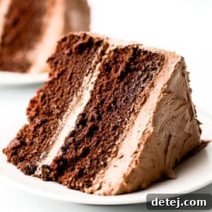 Close up of a moist slice of gluten-free vegan chocolate cake on a white plate.