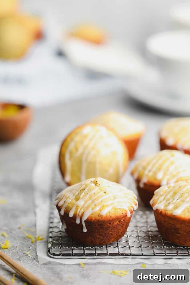 A collection of Vegan Lemon Poppy Seed Muffins on a cooling rack, showcasing their golden tops and poppy seed flecks
