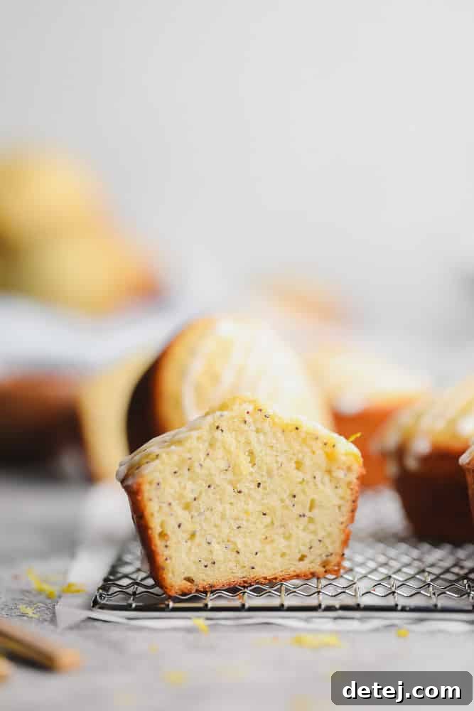 A Lemon Poppy Seed Muffin cut in half, revealing its moist, tender texture and specks of poppy seeds