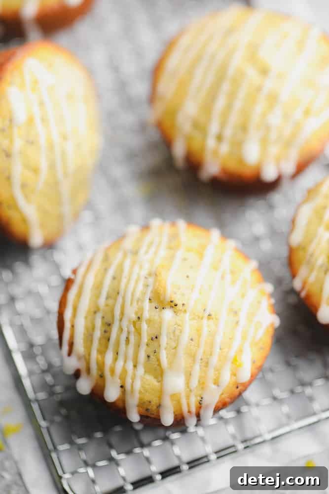 A close-up shot looking down on a single Vegan Lemon Poppy Seed Muffin with a drizzle of lemon glaze