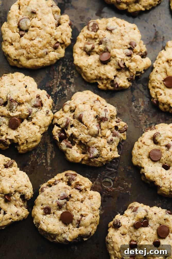 Rows of freshly baked vegan oatmeal chocolate chip cookies cooling on a baking sheet, golden brown with melted chocolate chips visible.