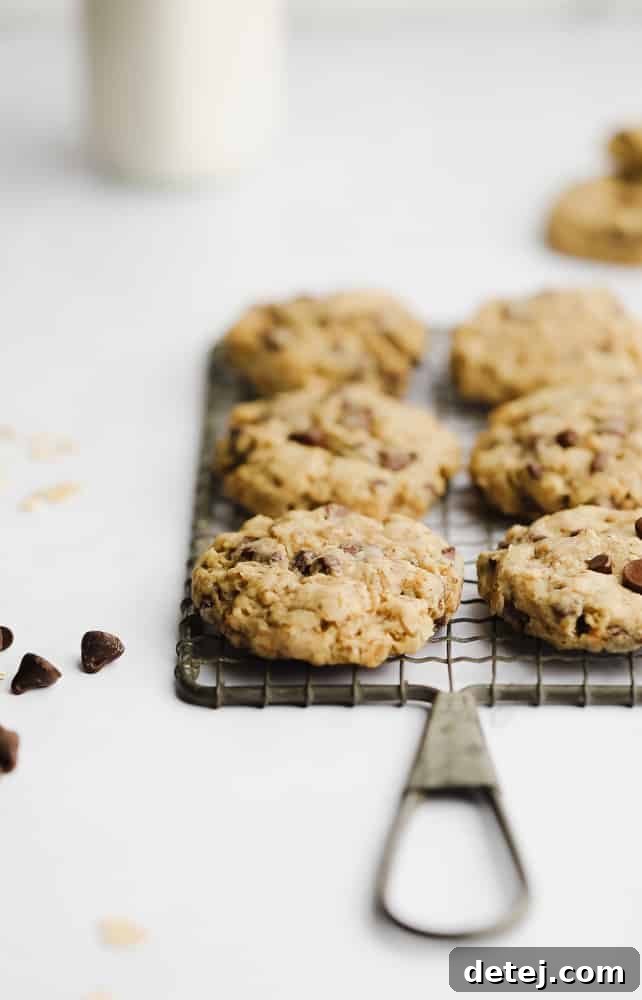 Freshly baked vegan oatmeal chocolate chip cookies cooling on a wire rack, showcasing their golden-brown edges and soft centers.