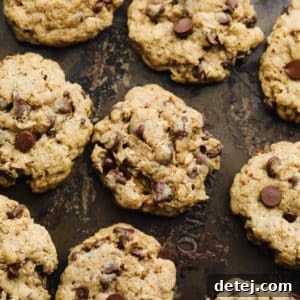 rows of baked oatmeal chocolate chip cookies on a baking sheet