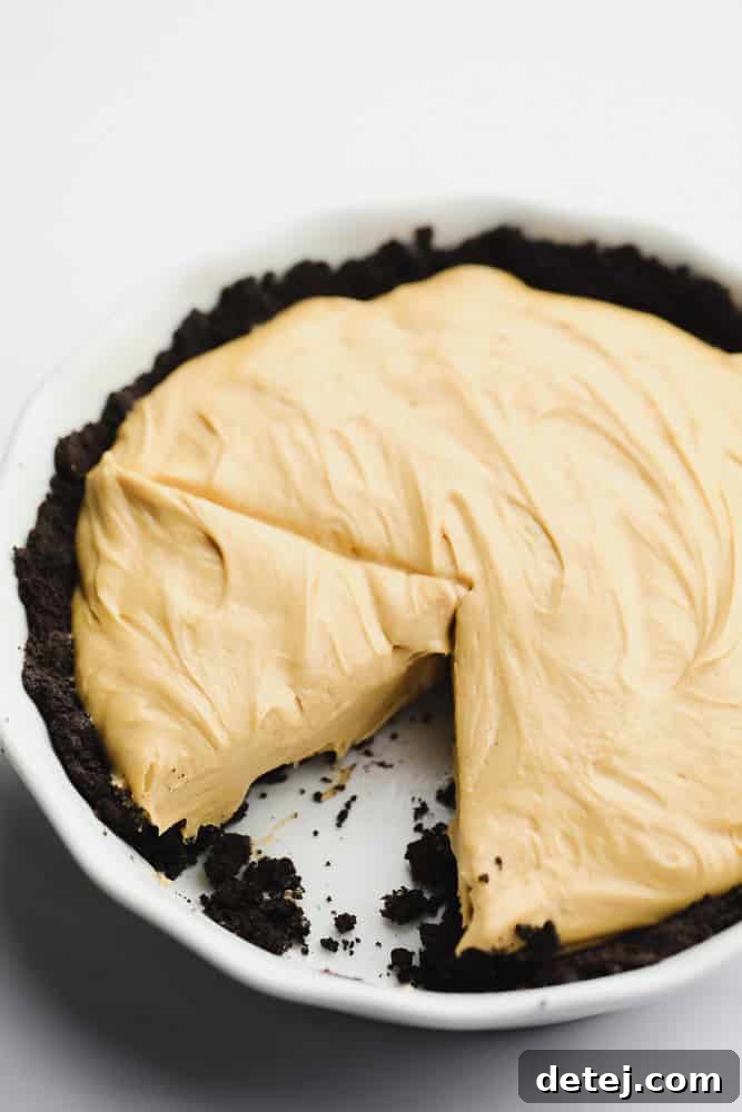 A clean slice removed from the vegan peanut butter pie, perfectly displaying the smooth, light brown peanut butter filling and the crisp, dark cookie crust, presented without any toppings.
