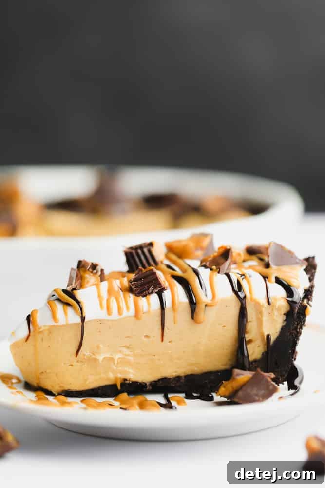 A beautiful side profile of a decorated vegan peanut butter pie, adorned with a generous layer of fresh whipped cream, scattered with chopped vegan peanut butter cups, and elegantly drizzled with rich chocolate sauce.