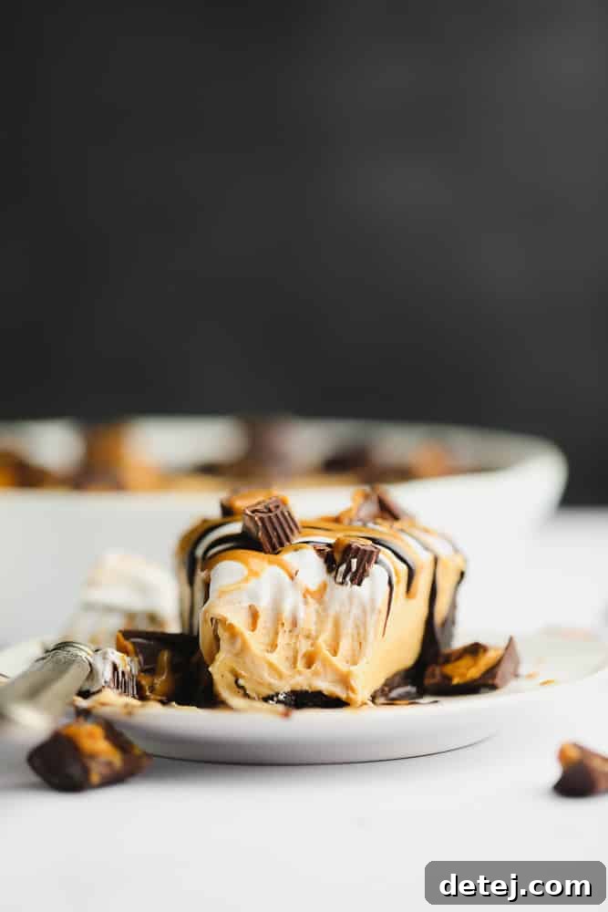 A beautifully plated slice of vegan peanut butter pie, garnished with whipped cream, chocolate drizzle, and chopped peanut butter cups, with the whole decorated pie visible in the background, inviting indulgence.