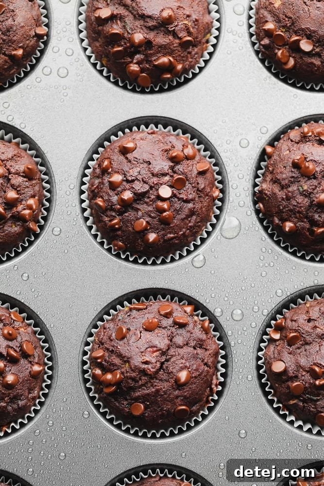 A close-up view of freshly baked vegan chocolate zucchini muffins cooling in a standard muffin tin, showcasing their golden-brown tops and visible chocolate chips.