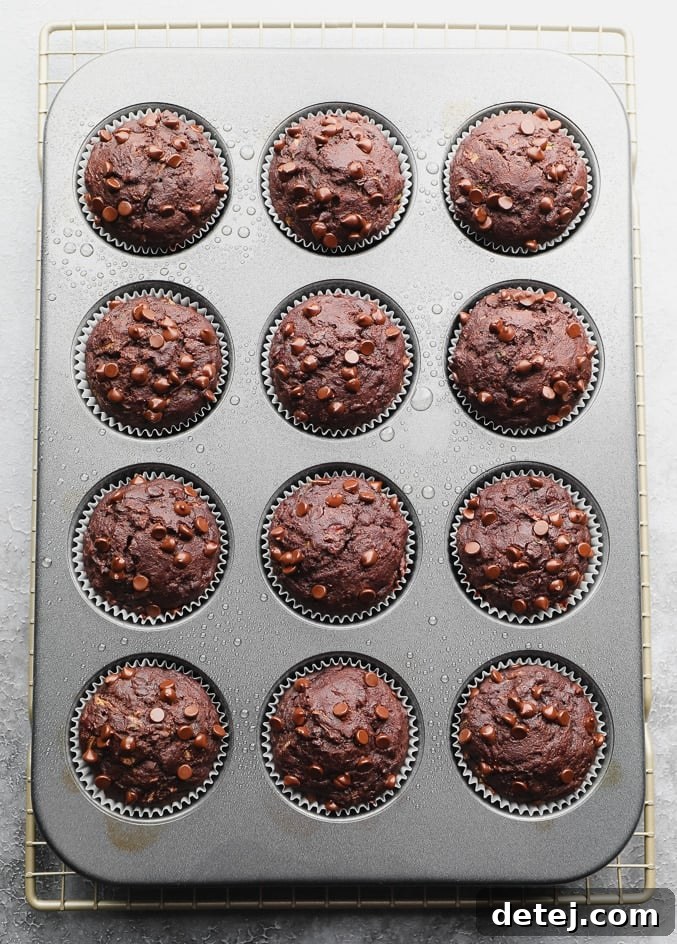 Freshly baked vegan chocolate chip muffins with perfectly crisp tops, still nestled in their paper liners within a muffin tin, radiating warmth and deliciousness.