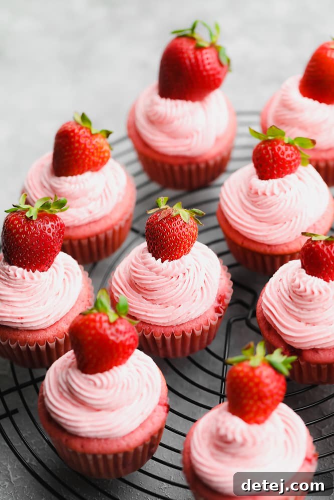 Close up of many vegan strawberry cupcakes on a black rack, showcasing their vibrant pink frosting and fresh strawberry garnish.