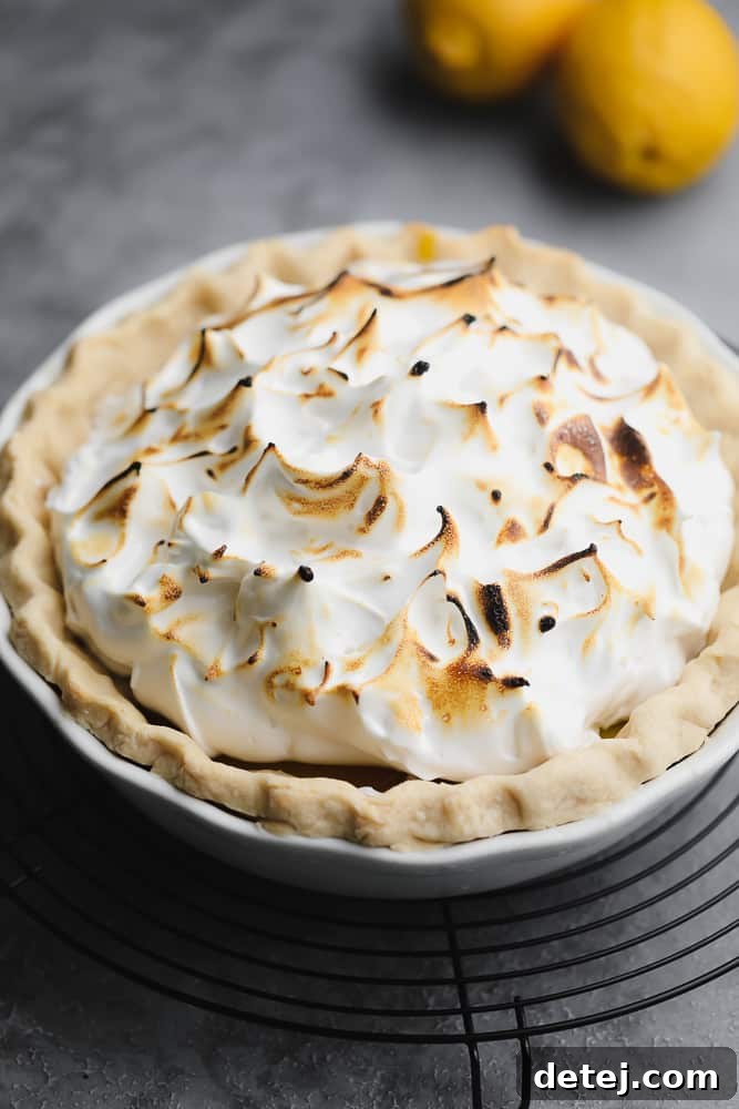 Fluffy Vegan Lemon Meringue Bliss 4 Beautifully toasted peaks of aquafaba meringue covering a vegan lemon pie.