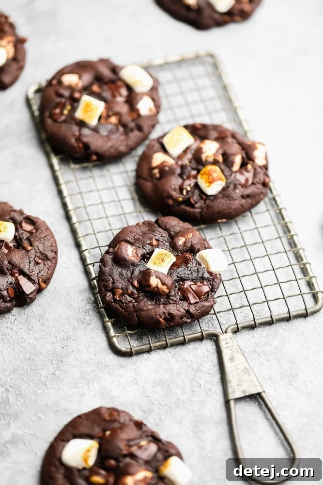 Three perfectly baked vegan chocolate marshmallow cookies on a wire cooling rack, showcasing their slightly golden marshmallows and rich chocolatey texture.