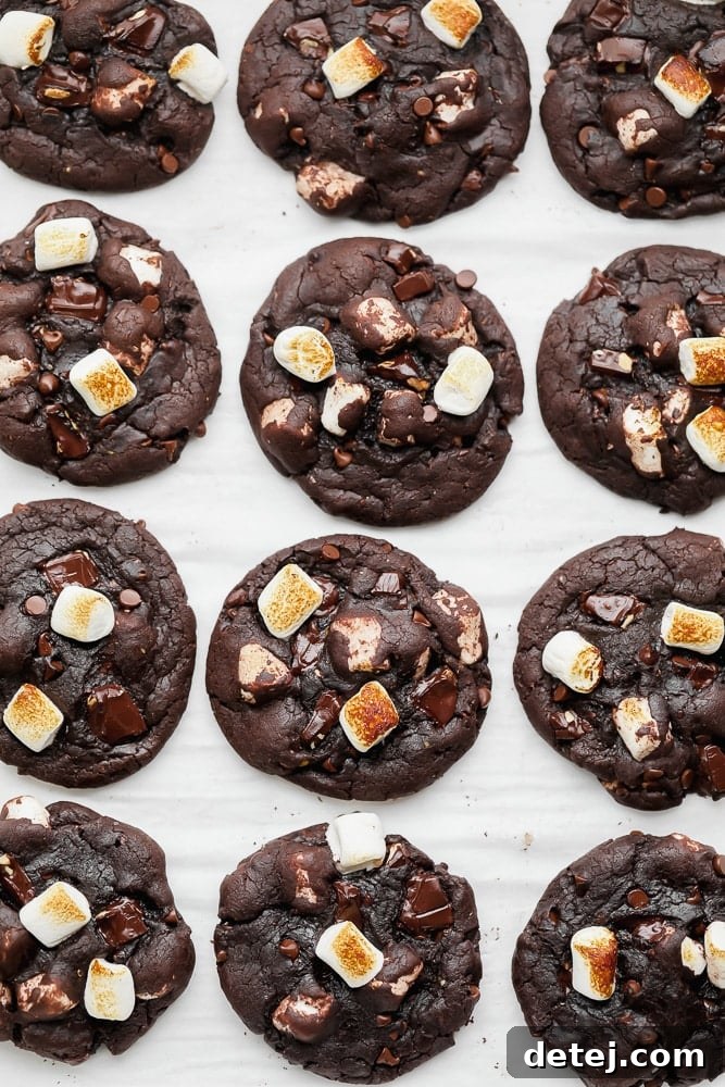 Rows of freshly baked vegan chocolate marshmallow cookies cooling on parchment paper on a baking sheet.