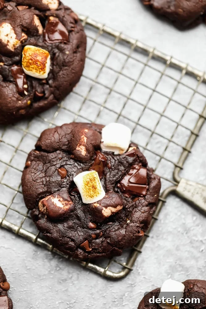 A close-up shot of two soft and gooey vegan chocolate marshmallow cookies, adorned with melted chocolate and toasted marshmallows, on a wire cooling rack.