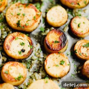 Close up on cooked vegan scallops