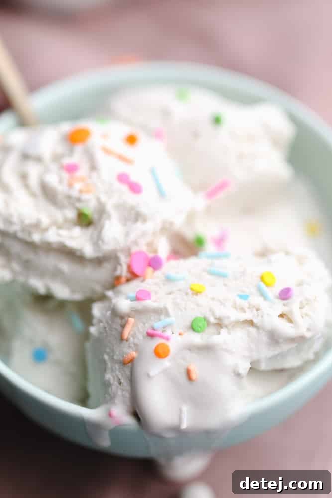 Close up on scoops of homemade vanilla vegan ice cream with colorful sprinkles in a bowl, showcasing its creamy texture.