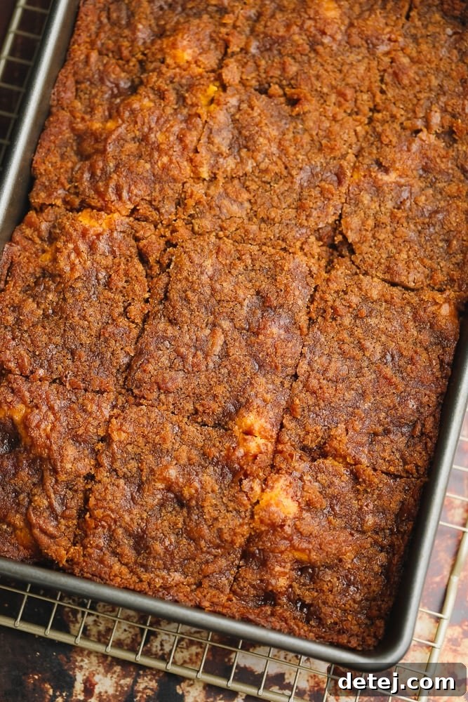 Dark brown baked vegan pumpkin coffee cake, freshly cut into squares within a metal baking tin.
