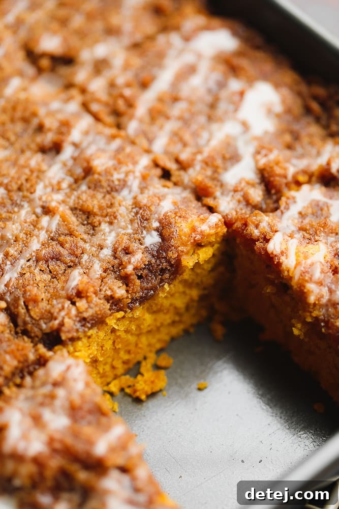 Close-up on a perfectly cut slice of moist brown vegan pumpkin coffee cake, showing the streusel layer, still in the metal baking tin.