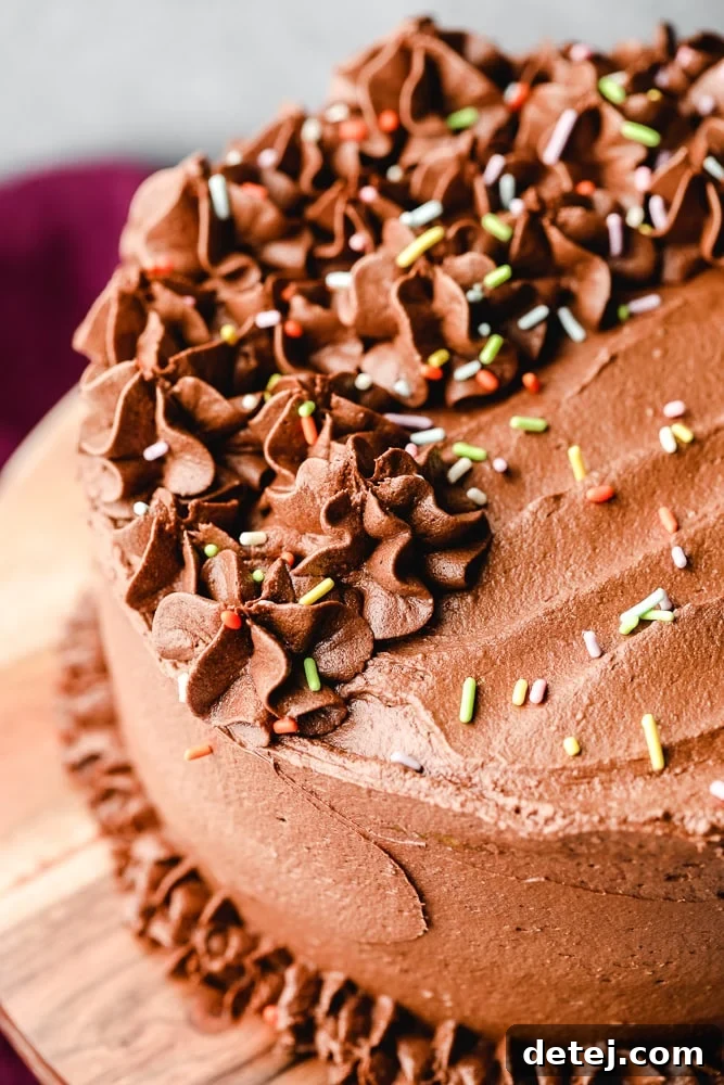 A round vegan yellow cake beautifully frosted with chocolate and topped with colorful sprinkles.