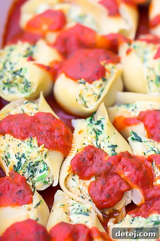 close up of stuffed shells made vegan in a dish