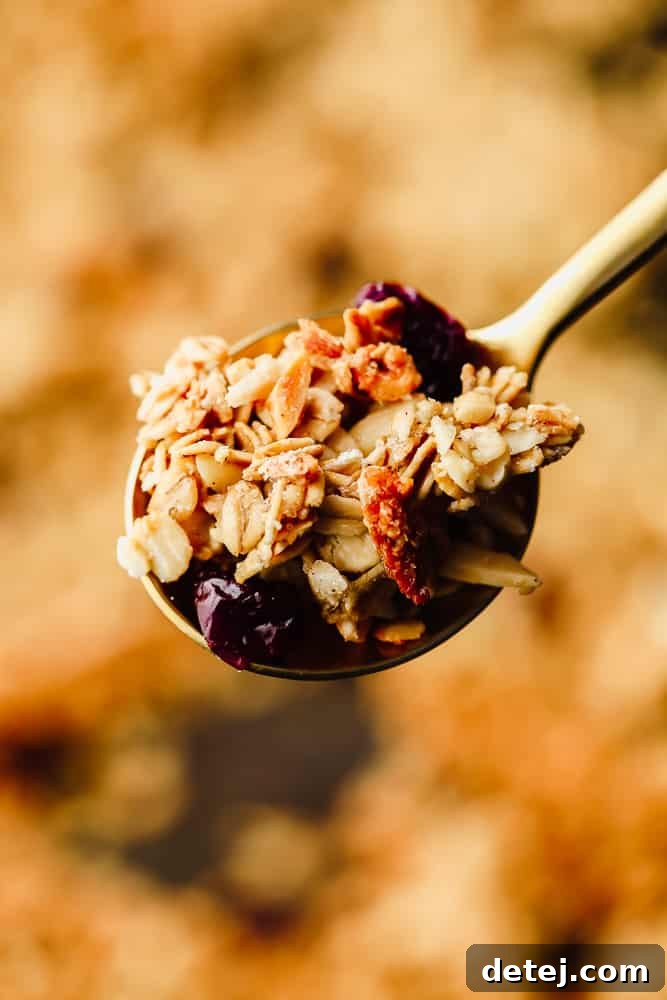 Close-up on a spoonful of homemade vegan granola, showcasing crispy oat clusters and nuts.
