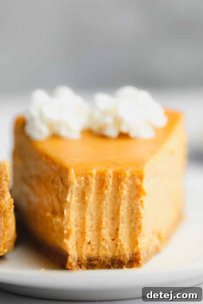 close up on a slice of pumpkin cheesecake with a bite missing.