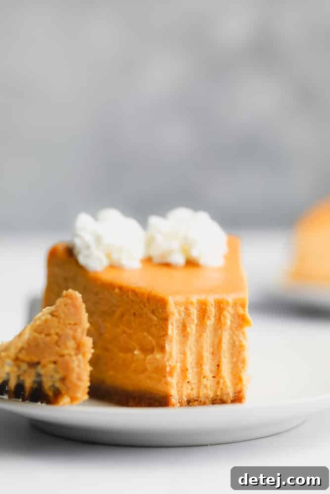 a slice of pumpkin cheesecake topped with whipped cream and a bite removed.