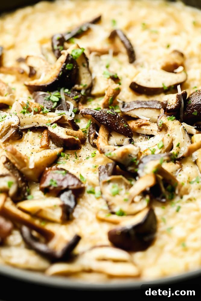 Close up on cooked mushrooms on top of creamy yellow risotto.