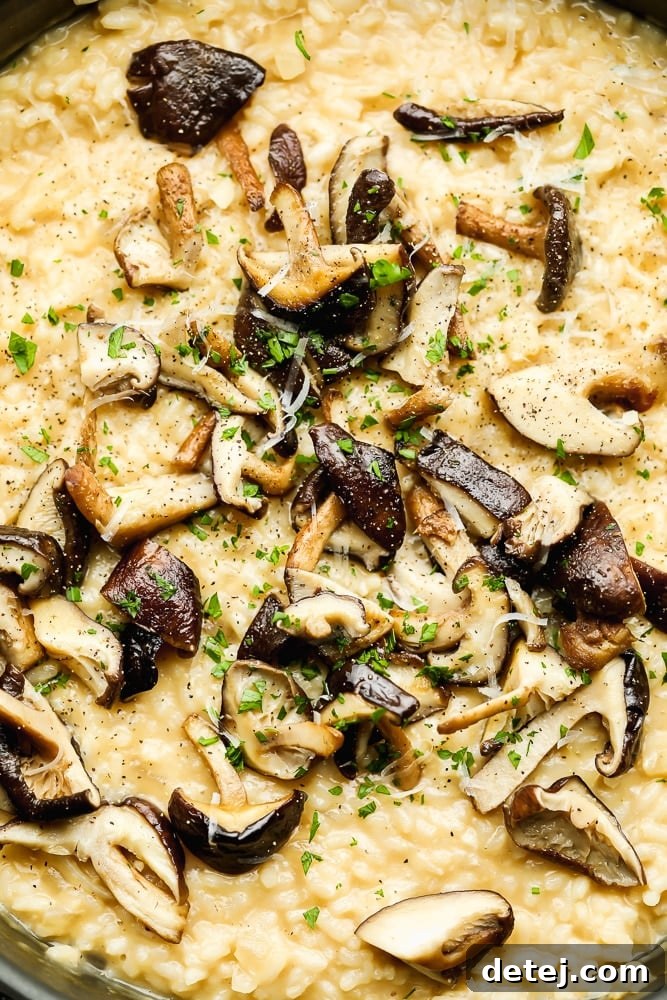 Close up on cooked mushrooms on top of creamy yellow risotto.