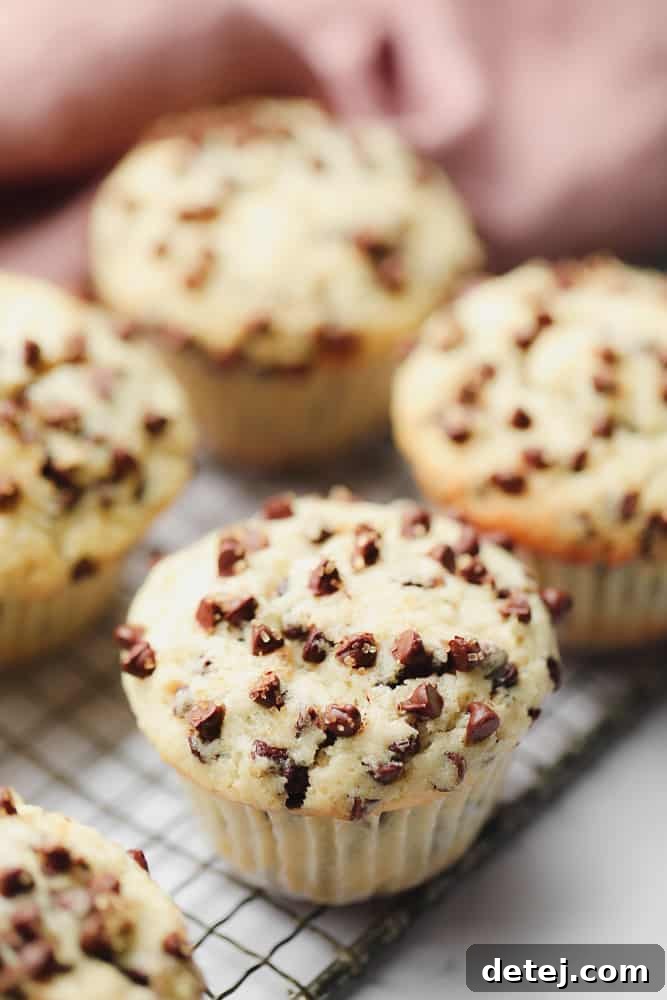 one muffin in focus, the rest of out focus with a pink towel in background