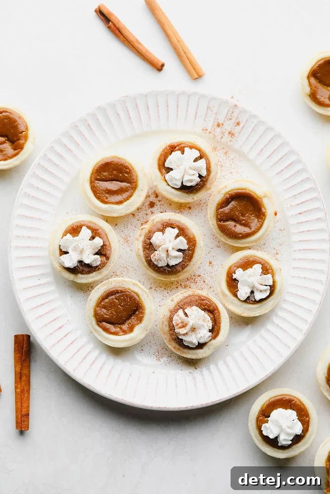 A stunning overhead view of several golden-brown mini pumpkin pies artfully arranged on a white plate, some adorned with vegan whipped cream and a sprinkle of cinnamon, showcasing their irresistible appeal for holiday gatherings.