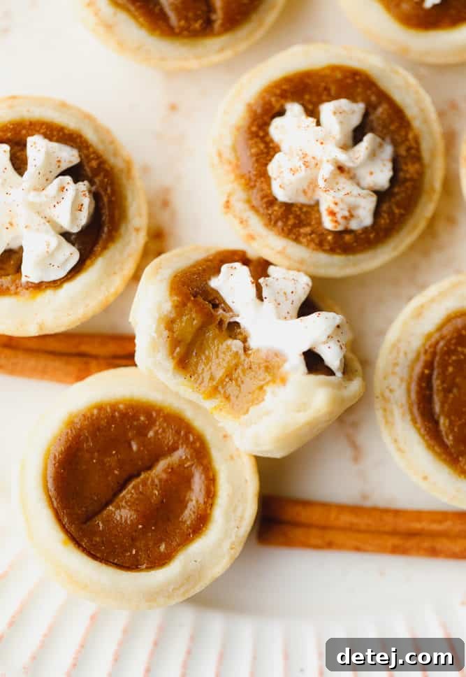 A close-up shot of a mini pumpkin pie with a bite taken out, showcasing the smooth, orange filling and the golden, flaky crust, topped with a generous swirl of vegan whipped cream and a dusting of cinnamon.