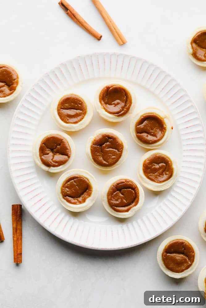 A collection of mini pumpkin pies, freshly baked with golden crusts and smooth, amber filling, arranged neatly on a serving plate, awaiting their decorative topping.